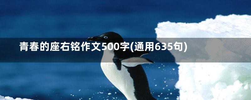 青春的座右铭作文500字(通用635句)