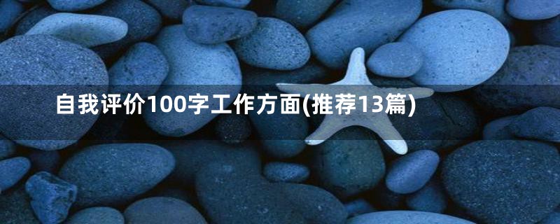 自我评价100字工作方面(推荐13篇)