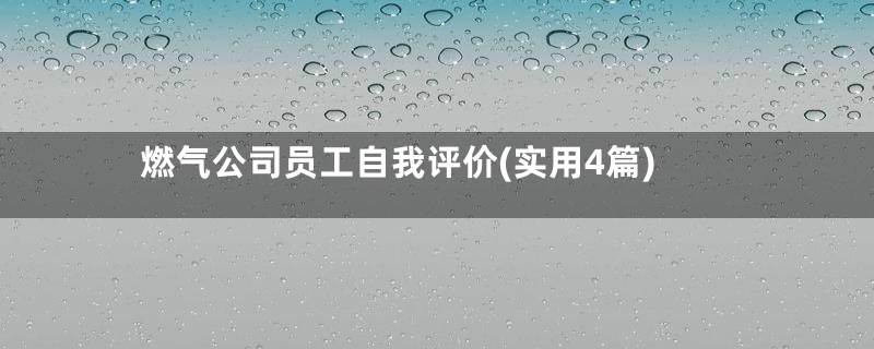 燃气公司员工自我评价(实用4篇)