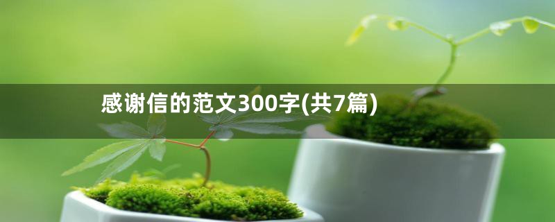 感谢信的范文300字(共7篇)