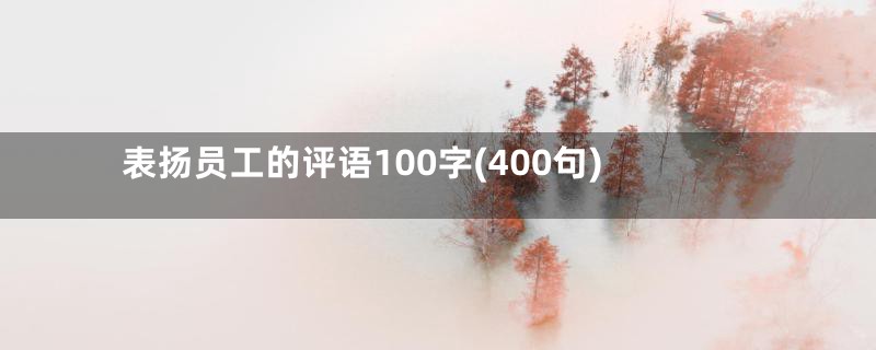 表扬员工的评语100字(400句)