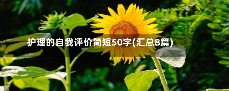 护理的自我评价简短50字(汇总8篇)