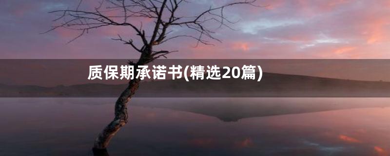 质保期承诺书(精选20篇)