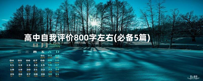 高中自我评价800字左右(必备5篇)