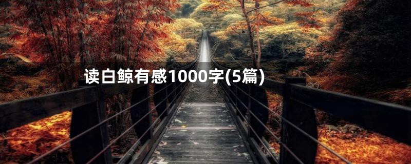 读白鲸有感1000字(5篇)