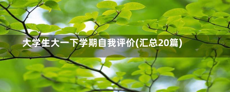 大学生大一下学期自我评价(汇总20篇)