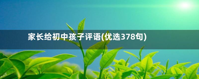 家长给初中孩子评语(优选378句)