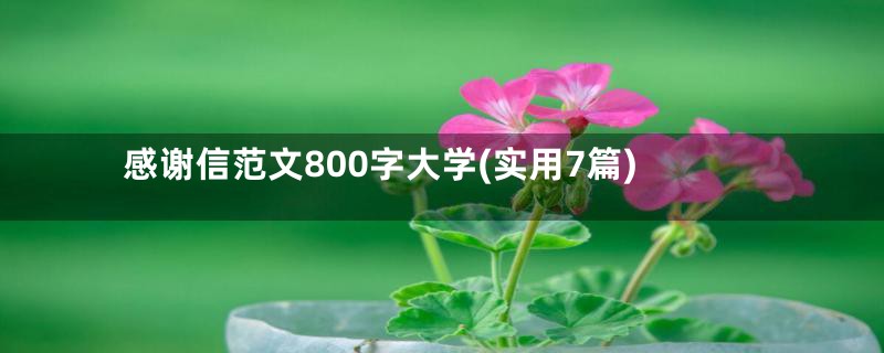 感谢信范文800字大学(实用7篇)