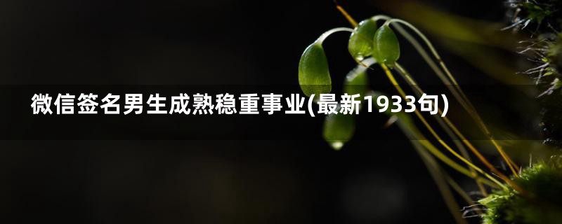 微信签名男生成熟稳重事业(最新1933句)