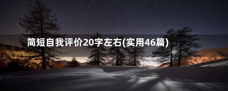 简短自我评价20字左右(实用46篇)