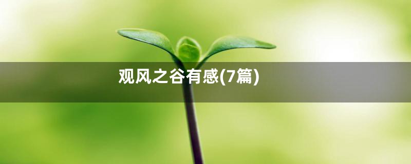 观风之谷有感(7篇)