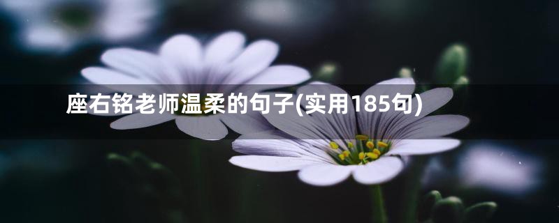 座右铭老师温柔的句子(实用185句)