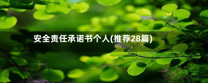 安全责任承诺书个人(推荐28篇)