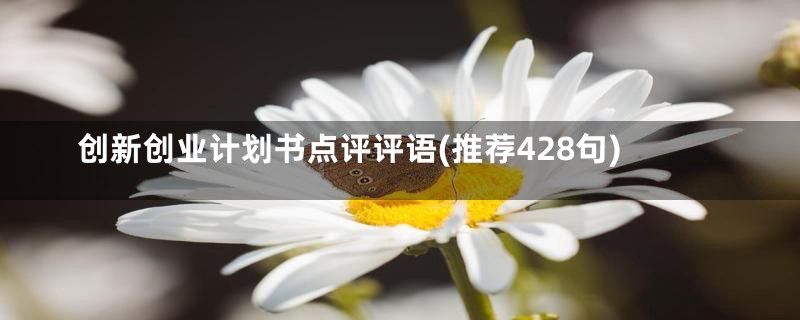 创新创业计划书点评评语(推荐428句)