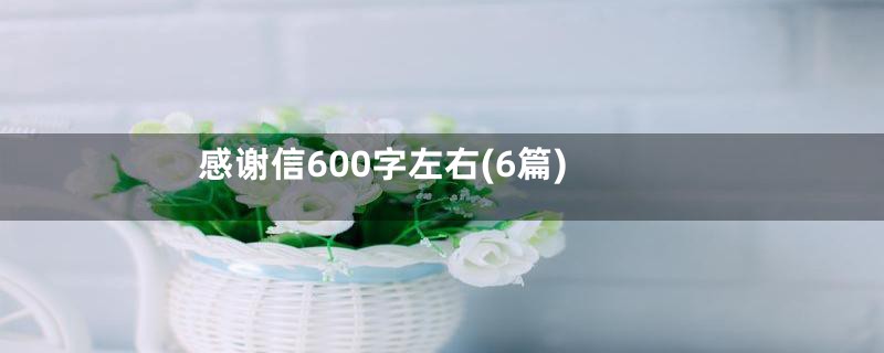 感谢信600字左右(6篇)