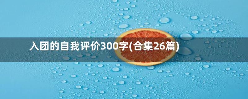 入团的自我评价300字(合集26篇)