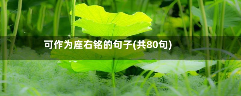 可作为座右铭的句子(共80句)