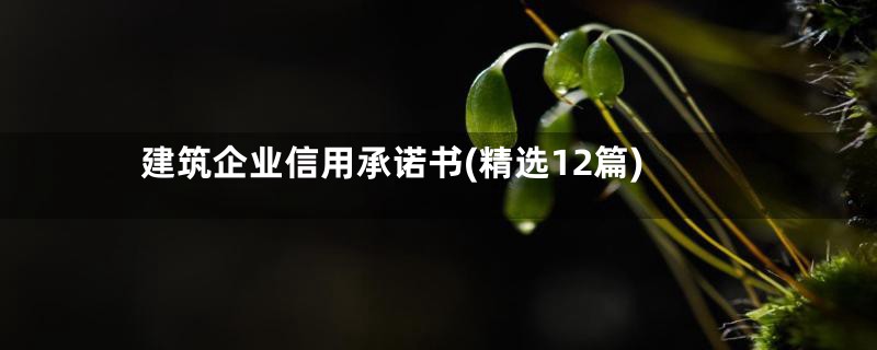 建筑企业信用承诺书(精选12篇)