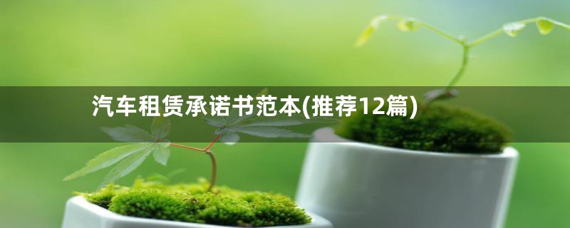 汽车租赁承诺书范本(推荐12篇)