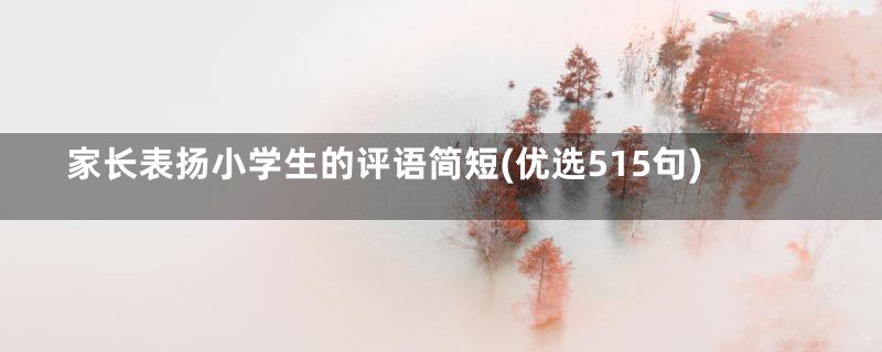 家长表扬小学生的评语简短(优选515句)