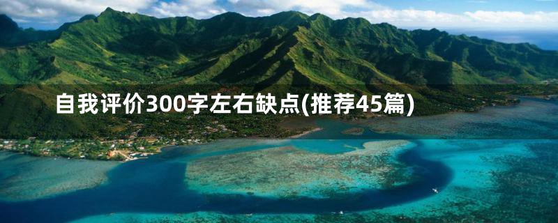 自我评价300字左右缺点(推荐45篇)