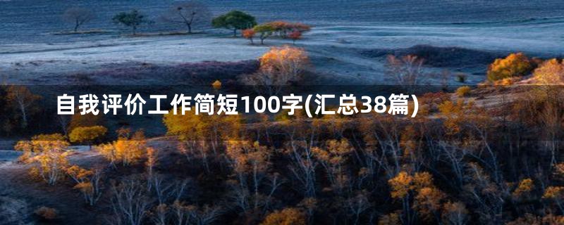 自我评价工作简短100字(汇总38篇)