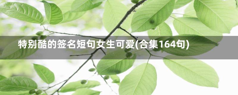 特别酷的签名短句女生可爱(合集164句)