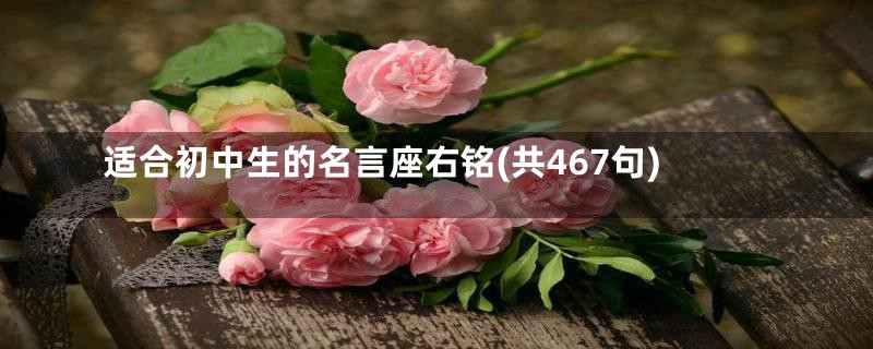 适合初中生的名言座右铭(共467句)