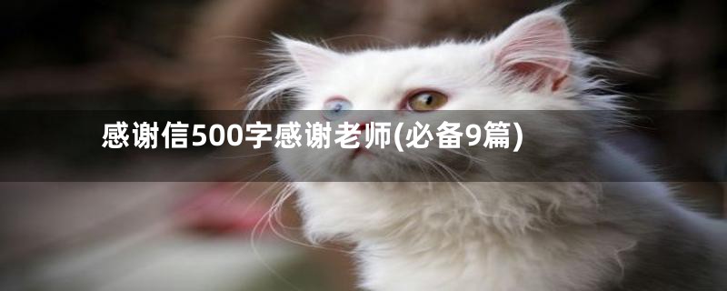 感谢信500字感谢老师(必备9篇)