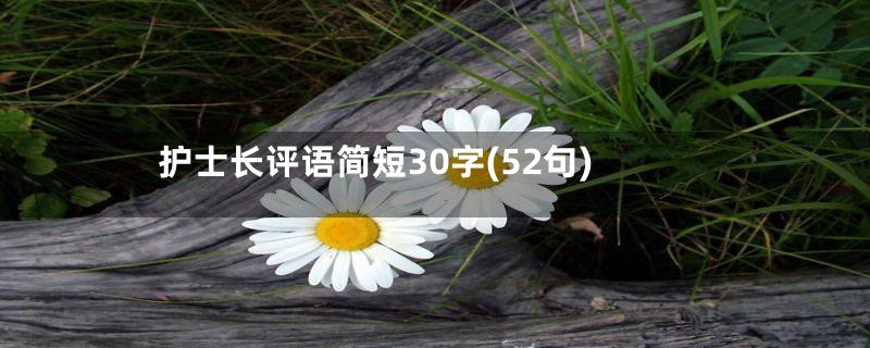 护士长评语简短30字(52句)