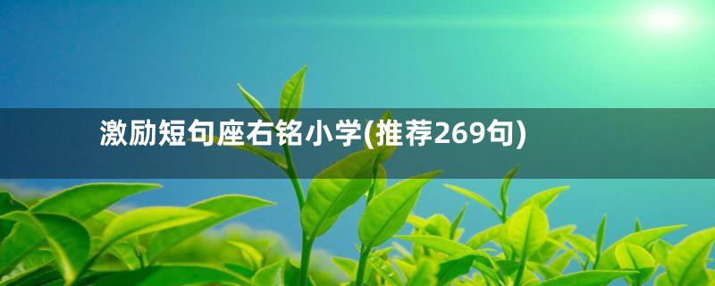 激励短句座右铭小学(推荐269句)