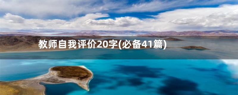 教师自我评价20字(必备41篇)