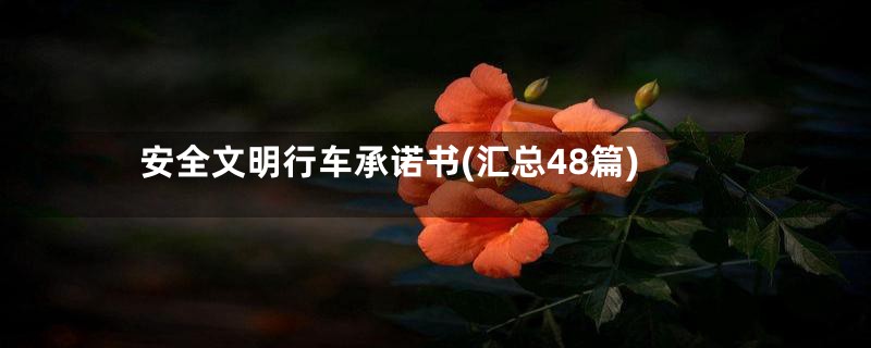 安全文明行车承诺书(汇总48篇)