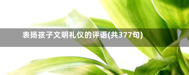 表扬孩子文明礼仪的评语(共377句)