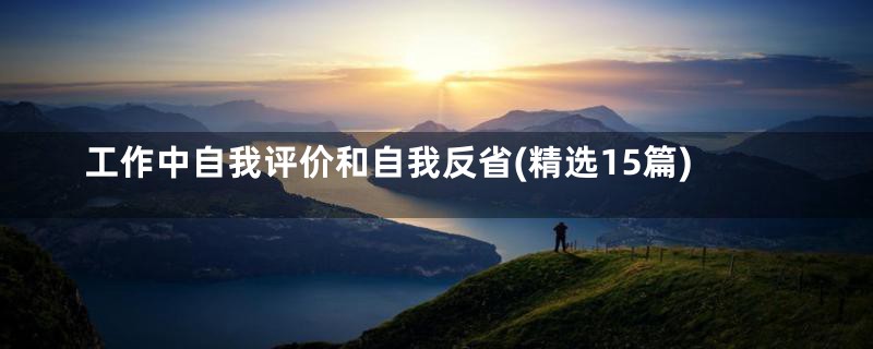 工作中自我评价和自我反省(精选15篇)