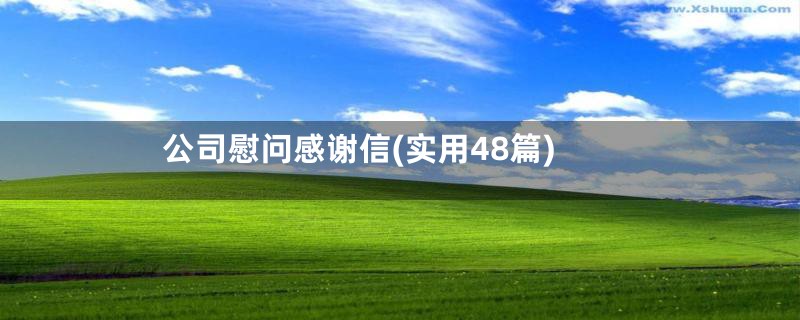 公司慰问感谢信(实用48篇)