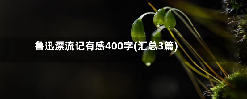 鲁迅漂流记有感400字(汇总3篇)