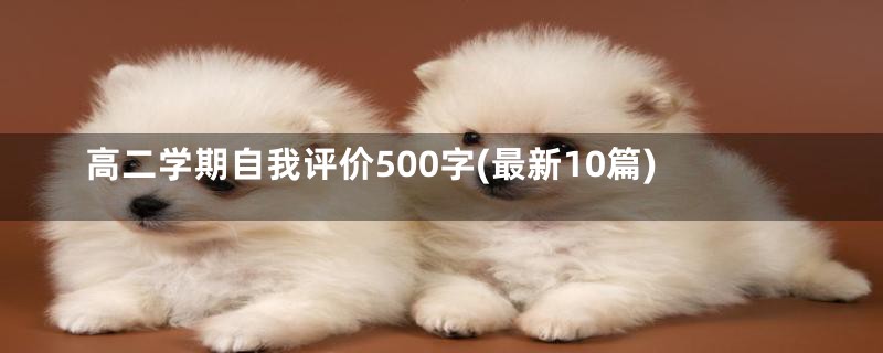 高二学期自我评价500字(最新10篇)