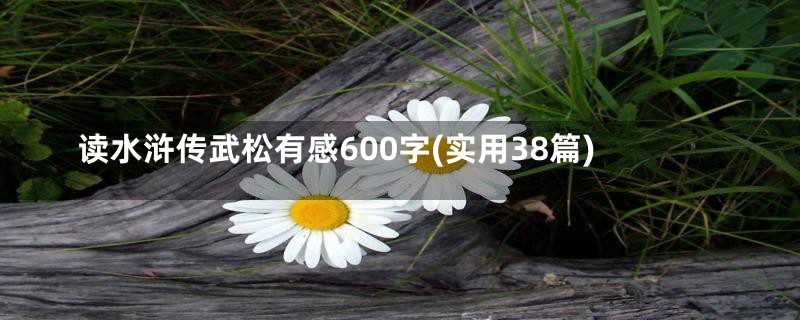 读水浒传武松有感600字(实用38篇)