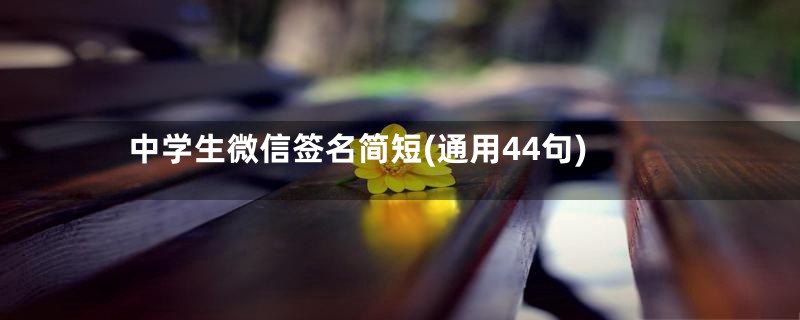 中学生微信签名简短(通用44句)