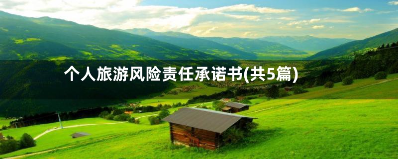 个人旅游风险责任承诺书(共5篇)