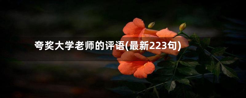 夸奖大学老师的评语(最新223句)