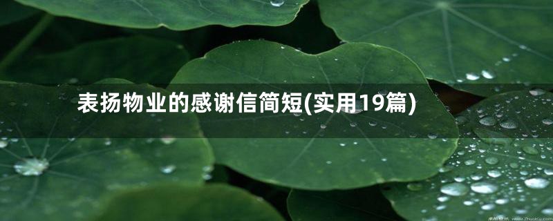 表扬物业的感谢信简短(实用19篇)