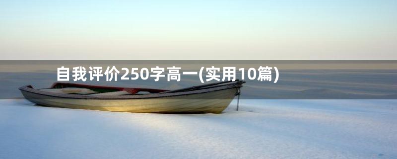 自我评价250字高一(实用10篇)