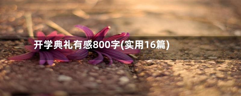 开学典礼有感800字(实用16篇)