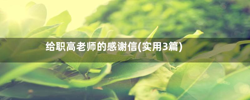 给职高老师的感谢信(实用3篇)