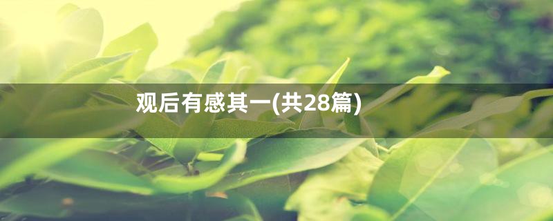 观后有感其一(共28篇)