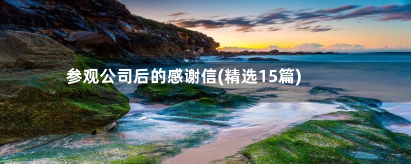 参观公司后的感谢信(精选15篇)