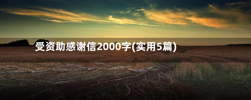 受资助感谢信2000字(实用5篇)