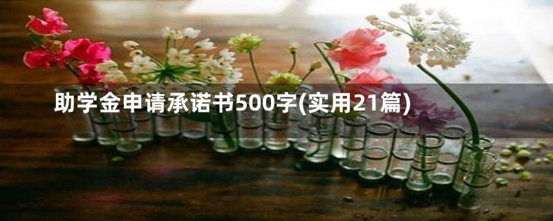 助学金申请承诺书500字(实用21篇)